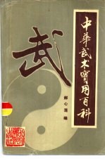 中华武术实用百科