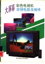 大屏幕彩色电视机原理电路及维修