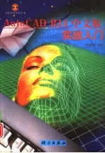 AutoCAD R14实战入门 中文版