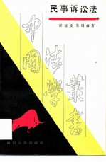 民事诉讼法