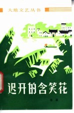 迟开的含笑花 短篇小说集