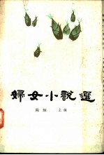 妇女小说选