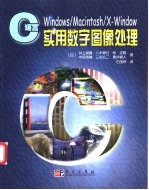 C语言实用数字图像处理
