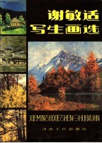 谢敏适写生画选