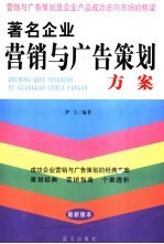 著名企业营销与广告策划方案
