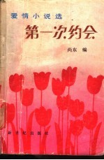 第一次约会 爱情小说选