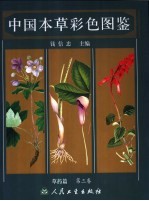中国本草彩色图鉴 中英文本 草药篇 第3卷