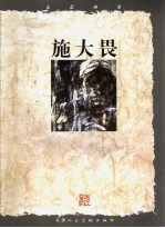 走近画家 施大畏