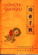 功业千秋 第1集