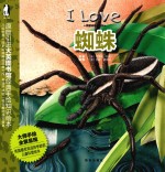 蜘蛛