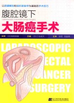 腹腔镜下大肠癌手术 以筋膜解剖和组织胚胎学为基础的手术技巧