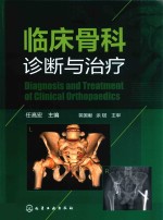 临床骨科诊断与治疗