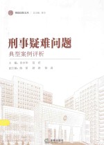 刑事疑难问题典型案例评析