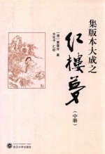 集版本大成之红楼梦 中