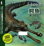 鳄鱼