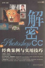 解密Photoshop CC 经典案例与实用技巧