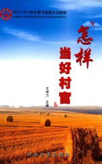 怎样当好村官