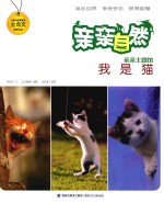 亲亲自然 我是猫