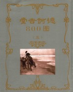 堂吉诃德800图 5