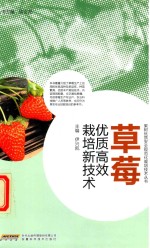 果树优质安全规范化栽培技术丛书 草莓优质高效栽培新技术