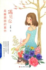 长篇小说 遇见你，是最美丽的意外