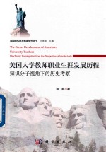美国大学教师职业生涯发展历程 知识分子视角下的历史考察