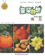 亲亲自然 南瓜