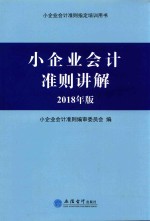 小企业会计准则培训指定用书 小企业会计准则讲解 2018年版