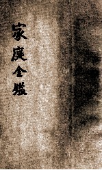 家庭金鉴 伦理小说