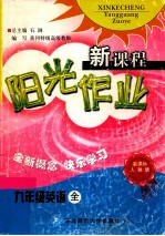 新课程阳光作业 初中英语 九年级 全 人教新目标版