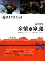 亲情与家庭