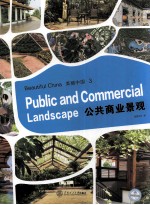 公共商业景观 3