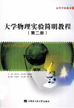 大学物理实验简明教程 第2册
