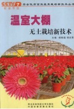 温室大棚无土栽培新技术