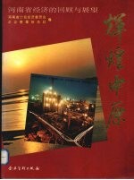 辉煌中原:河南经济的回顾与展望