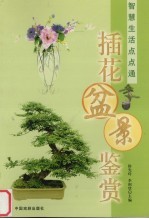 插花盆景鉴赏