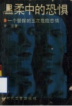 温柔中的恐惧 一个警探的五次奇遇