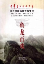 鱼龙百戏 长江流域的游艺与竞技