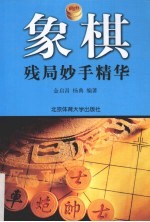 象棋残局妙手精华
