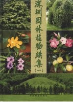 深圳园林植物续集 1
