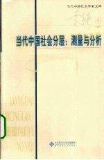 当代中国社会分层 测量与分析