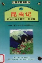 昆虫记 2 花丛中的小刺客:狩猎蜂