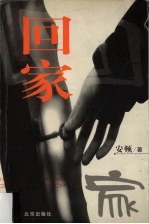 回家 绝对隐私·当代中国人情感口述实录之二