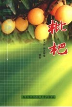 枇杷