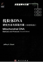 线粒体DNA 研究方法与实验方案 导读版 英文