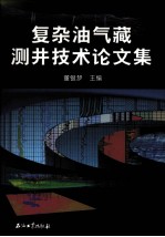 复杂油气藏测井评价技术论文集
