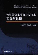 大庆葡萄花油田开发技术实践与认识