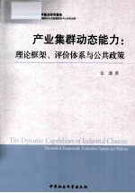 产业集群动态能力 理论框架评价体系与公共政策