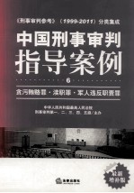 中国刑事审判指导案例 6 贪污贿赂罪、渎职罪、军人违反职责罪 最新增补版
