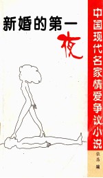 中国现代名家情爱争议小说 新婚的第一夜